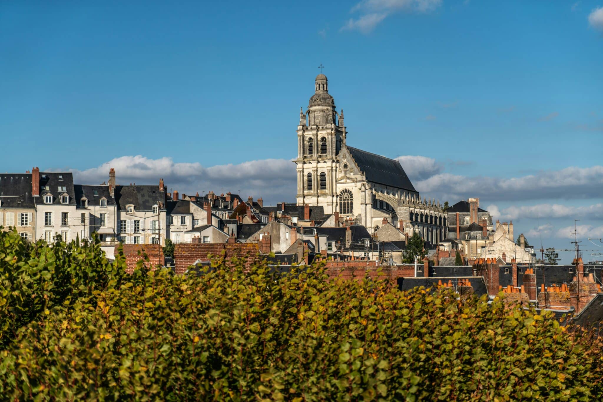 Panorama urbain et vue sur les toits de la ville de Blois en région Centre.